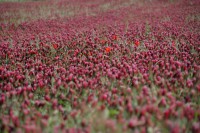 /album/galleria-foto-homepage/voragine-435-jpg1/